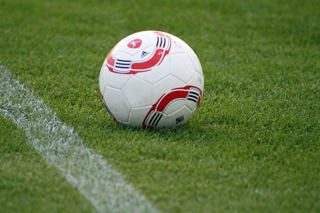 彷佛进入了 彷佛进入了