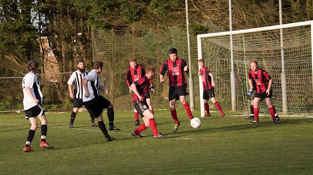 女孩与武术 女孩与武术