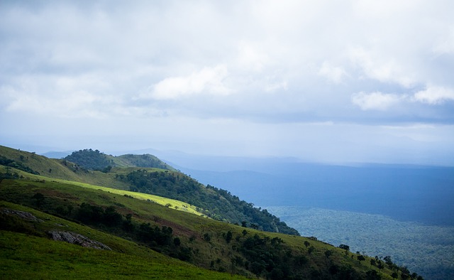 数据分析来 数据分析来