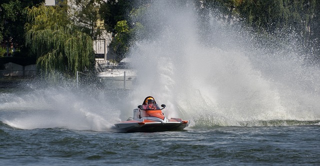 仅是常规赛 仅是常规赛