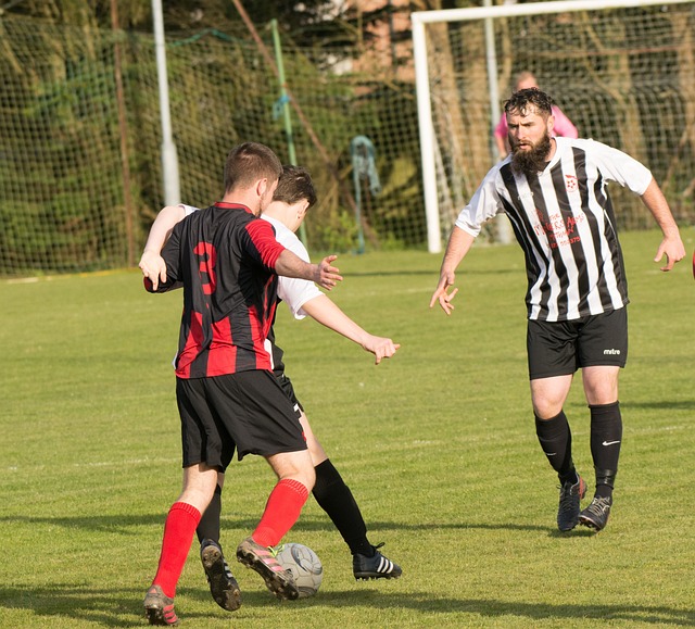 公正的重要 公正的重要