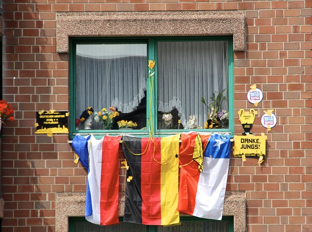 领域的贡献 领域的贡献