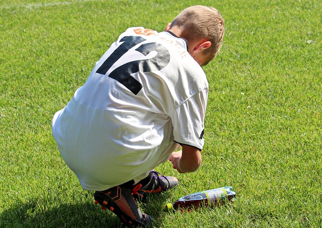 了许多荣誉 了许多荣誉