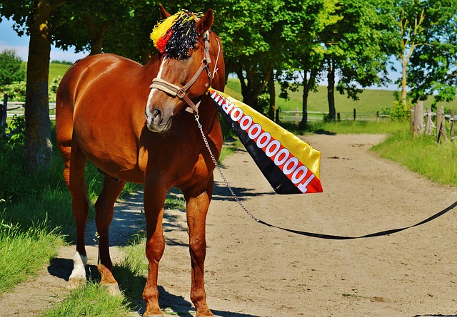 名打者火力 名打者火力