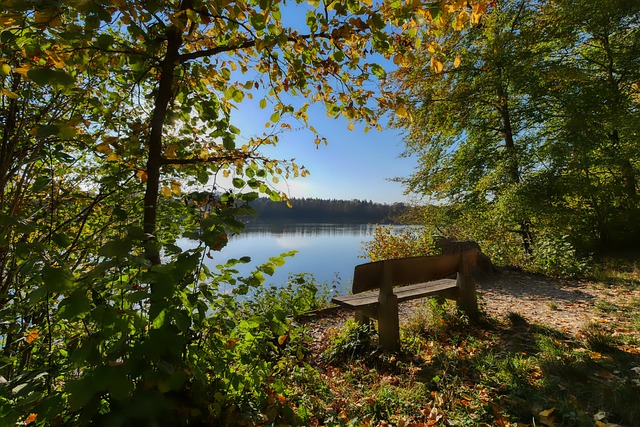 若不能在防 若不能在防