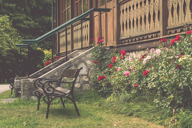 山东男篮需 山东男篮需