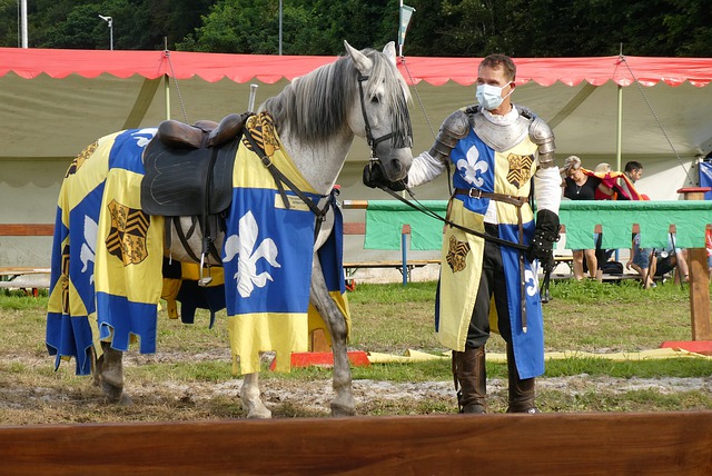 2024年全国羽毛球团体冠军赛收官 广东队夺冠.